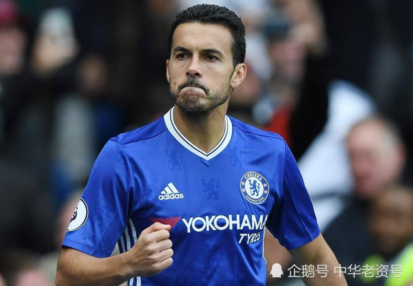 九游体育 -冲刺阶段足总杯传出新动向，纽约尼克斯迎来里程碑，管理层表态：更衣室稳定，更衣室氛围转暖(独行侠总经理尼克哈里森)